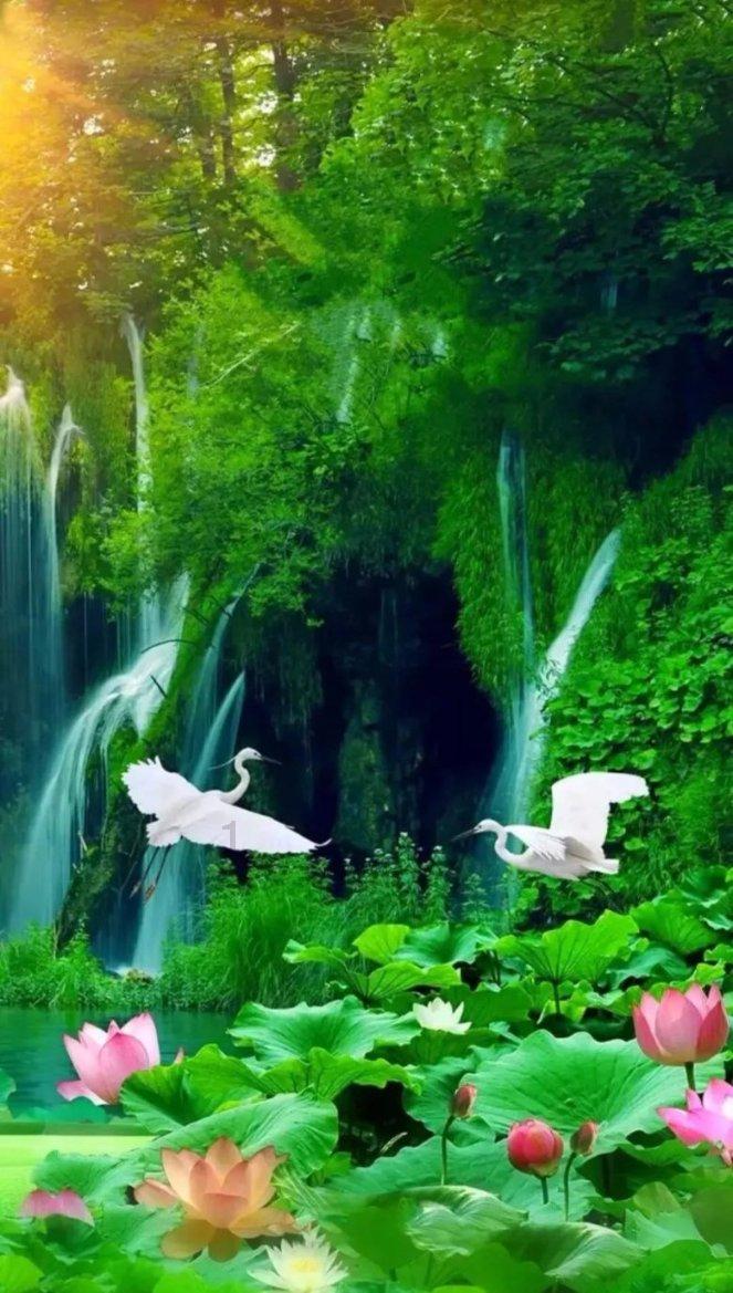 什么花好养又好看，还不臭？游戏画面