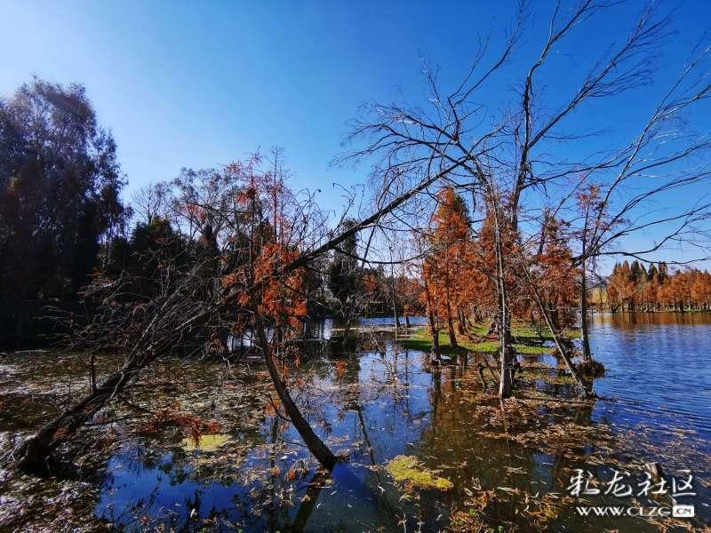 中国有色矿业预计2024年综合铜产量约55万吨