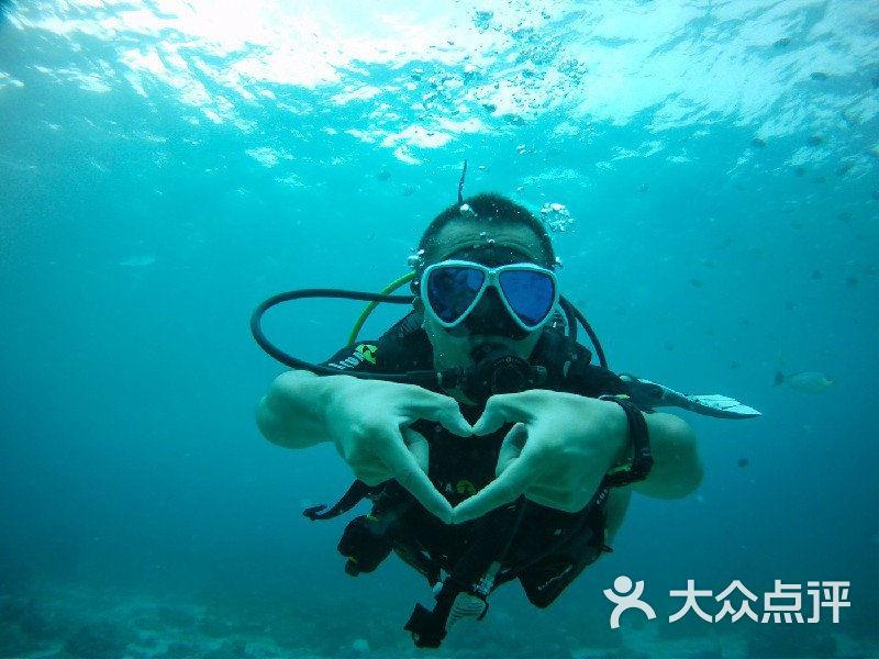 救援小袋熊