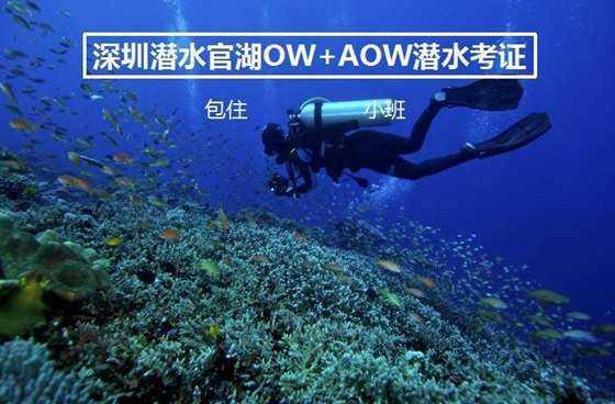 立足新起点 下好“一盘棋”