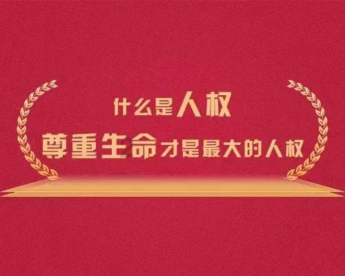 海盗寻宝记
