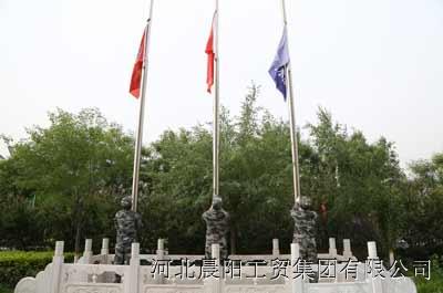 巴西锂矿争夺战,比亚迪正面刚“宁王”?