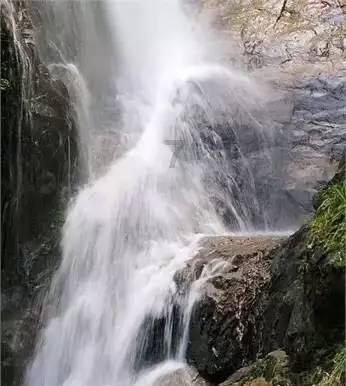 万词王
