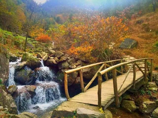 家用漏电保护器测试按钮不复位怎么办？游戏画面