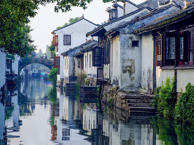 沙皮狗逃离